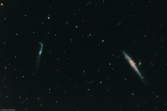 NGC4631_Whale-Galaxy_2022_05_30_RC8_Apex_ASI294MM