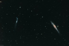 NGC4631_Whale-Galaxy_2022_05_30_RC8_Apex_ASI294MM